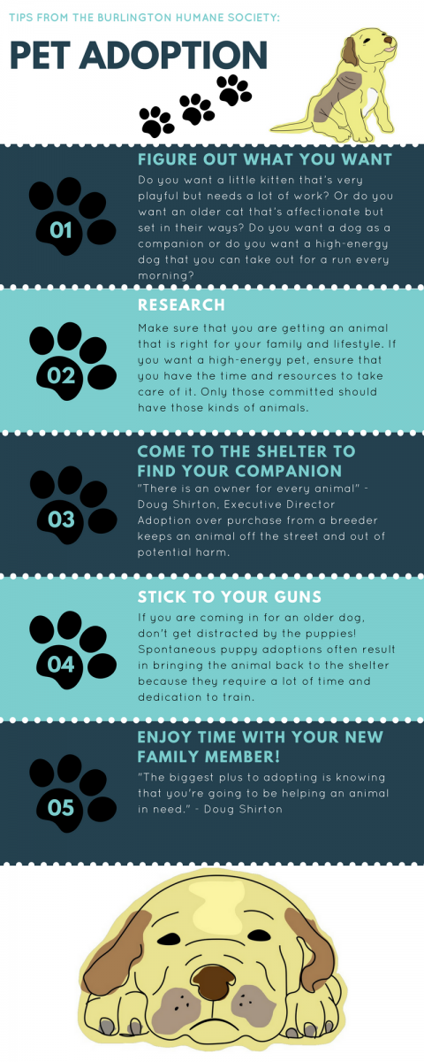 Adoption tips