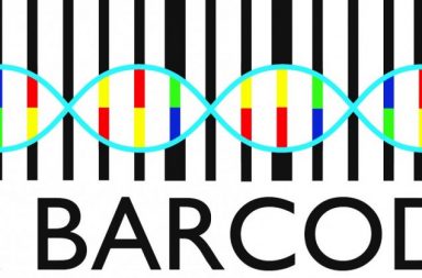 DNA Barcoding