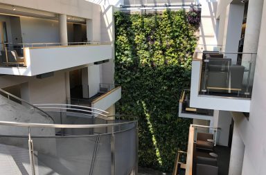 University of Guelph-Humber atrium taken from the fourth floor, looking towards the plant wall.